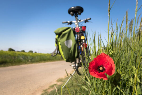 Nowa trasa rowerowa Wokół Zalewu Szczecińskiego